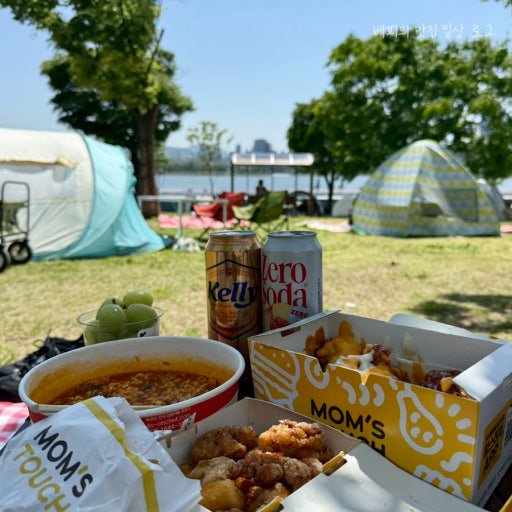 Korean fried chicken picnic by the Han River in Seoul