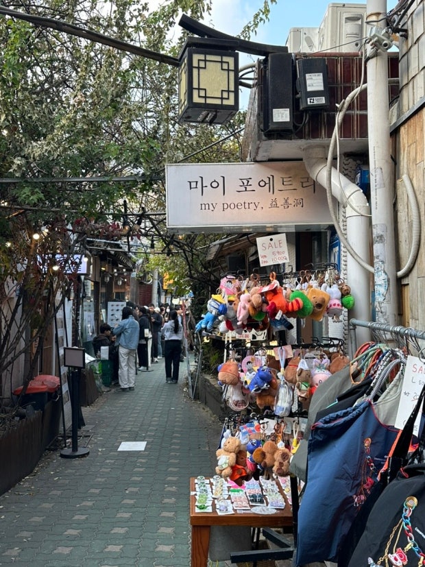 Cafe hopping street in Ikseondong Seoul