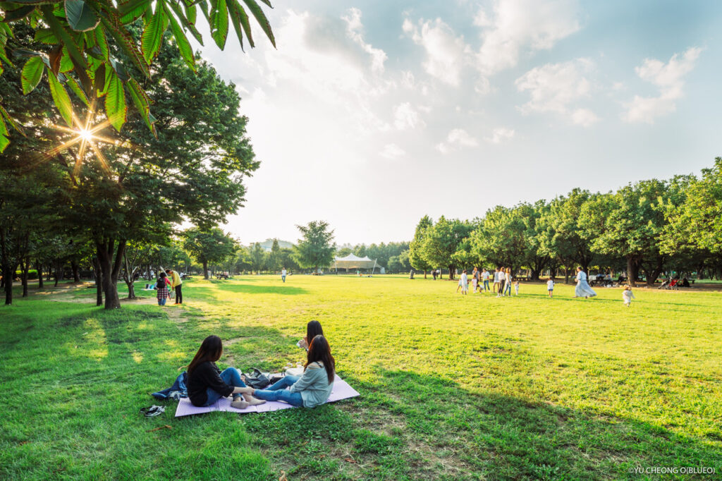 Half-day Seongsu cafe route from Seongsu Station to Seoul Forest