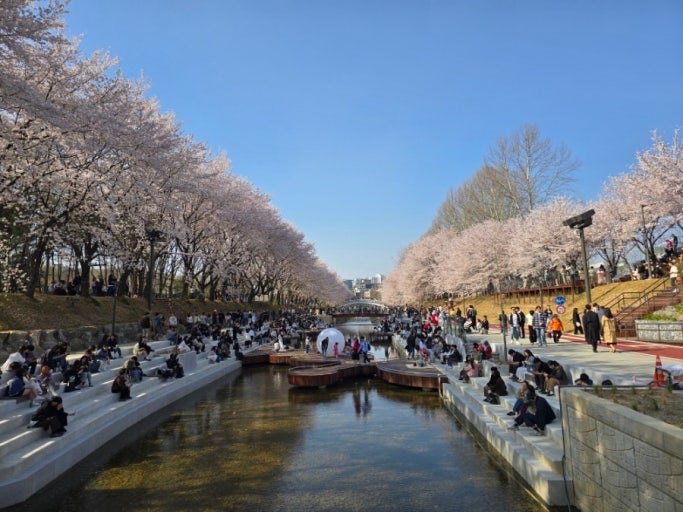 Seoul neighborhood route for solo dining and sightseeing