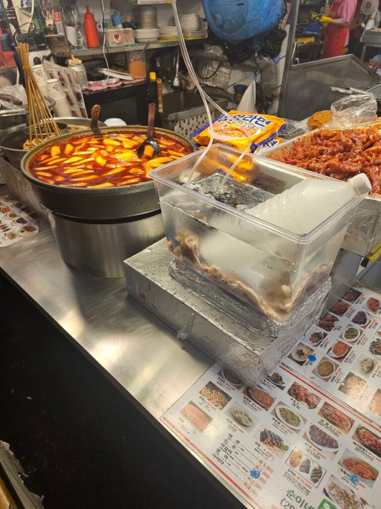 Tteokbokki and Korean street food at Gwangjang Market
